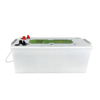 Dual Purpose Battery